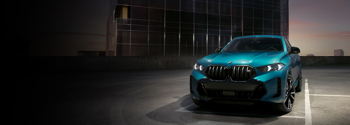 2024 BMW X6